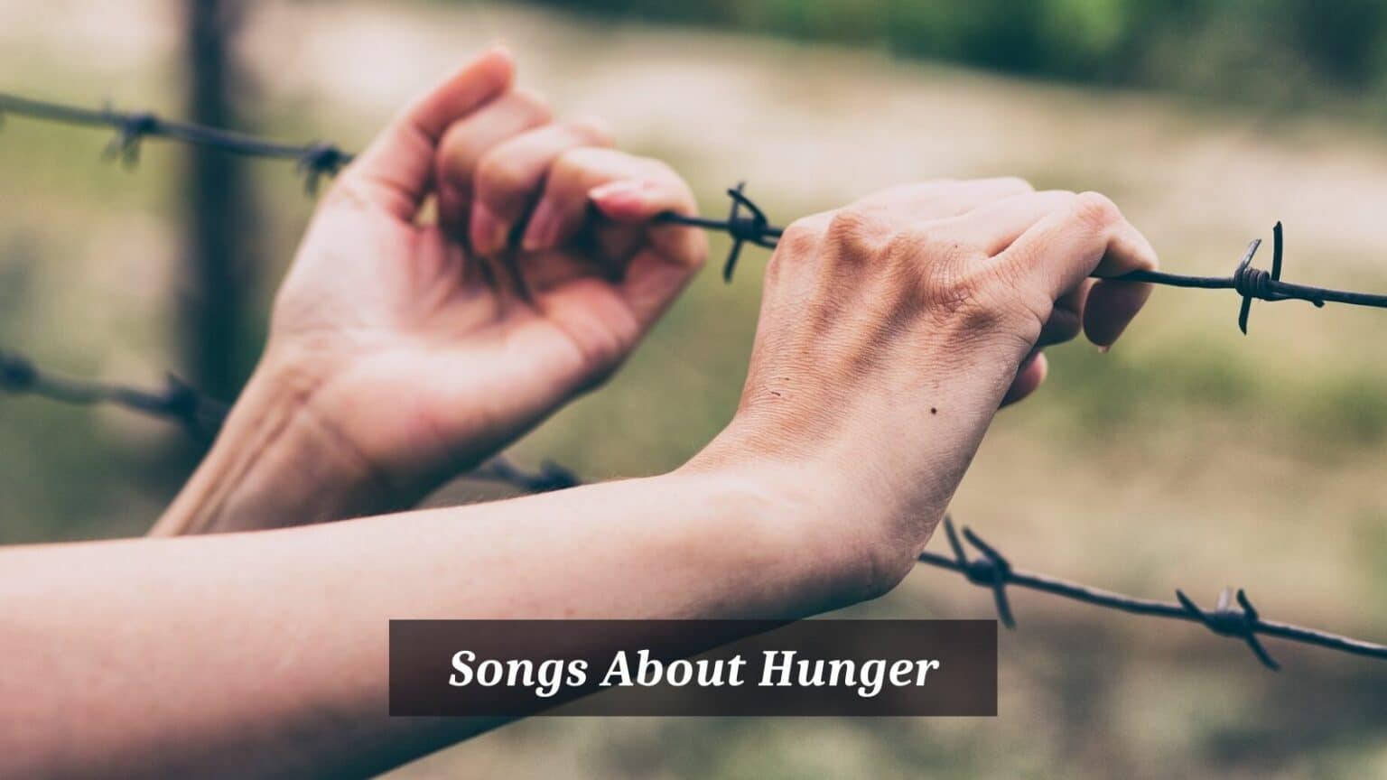 9 Pieces Of Songs About Hunger CMUSE