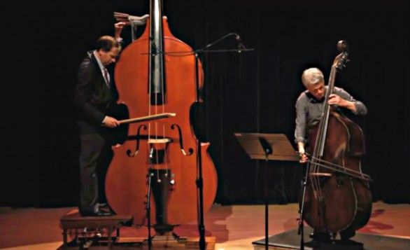 norwegian-musician-plays-the-largest-string-instrument-ever-invented