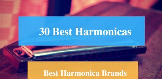 Best Harmonica & Best Harmonica Brands