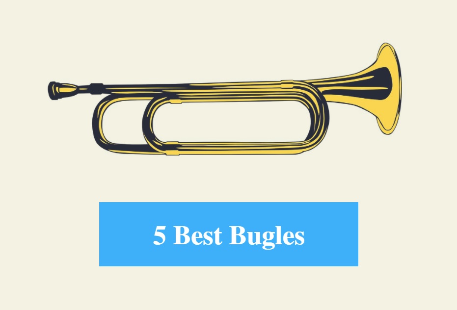 5 Best Bugle Reviews 2017 Best Bugle Brands CMUSE