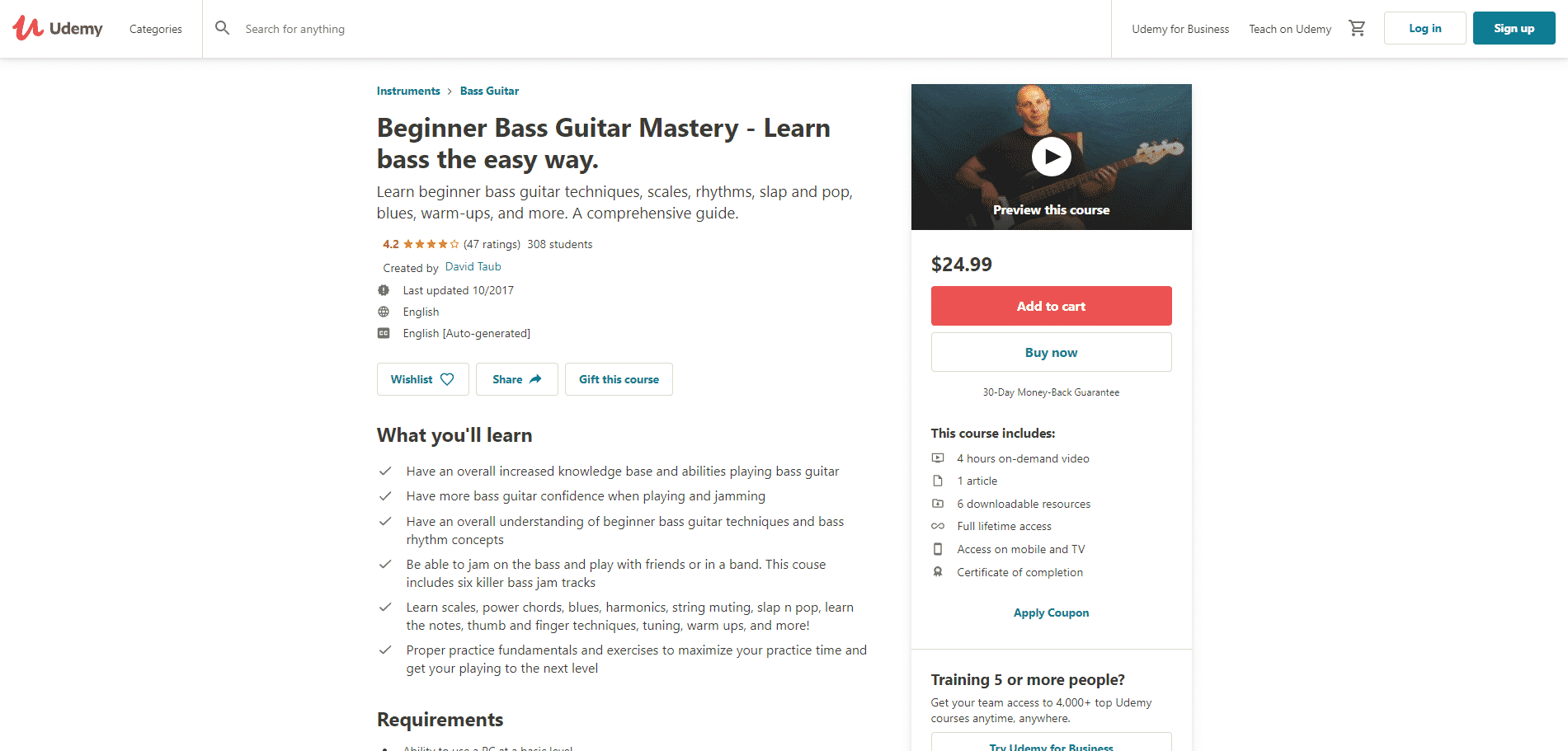 Beginner Bass Guitar Mastery