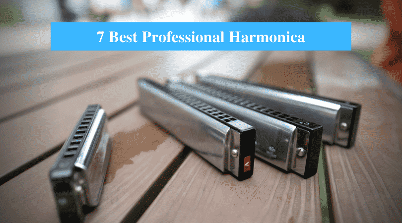 Harmonica Professionnel Pour Étudiants Adultes, Bon Harmonica Diatonique professionnel  harmonica (Color : Black-Cm) : : Instruments de musique et Sono