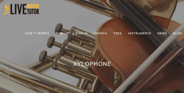 livemusictutor learn xylophone lessons online