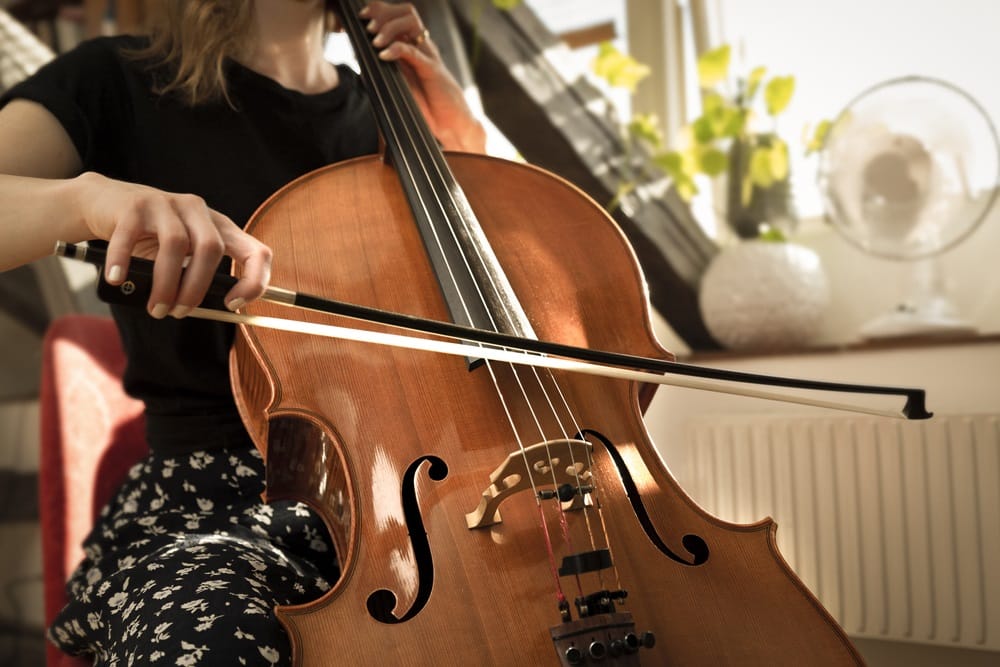 How Much Do Cello Lessons Cost Average Private Cello Lessons Cost 