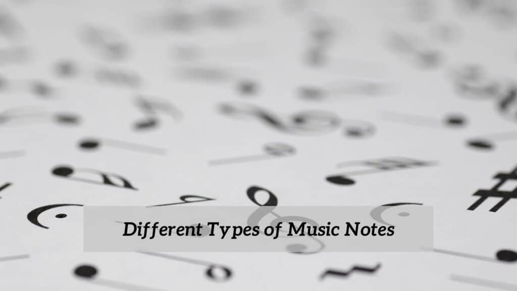 what-are-the-different-types-of-music-notes-cmuse