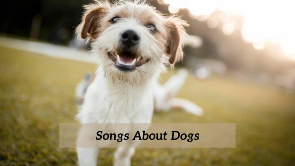 10-pieces-of-songs-about-dogs-cmuse