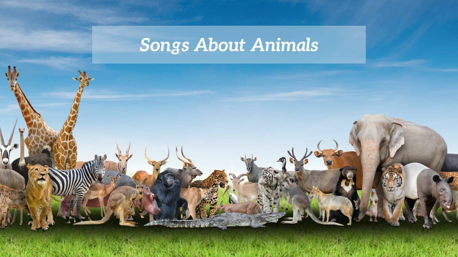 10-pieces-of-song-about-animals-cmuse