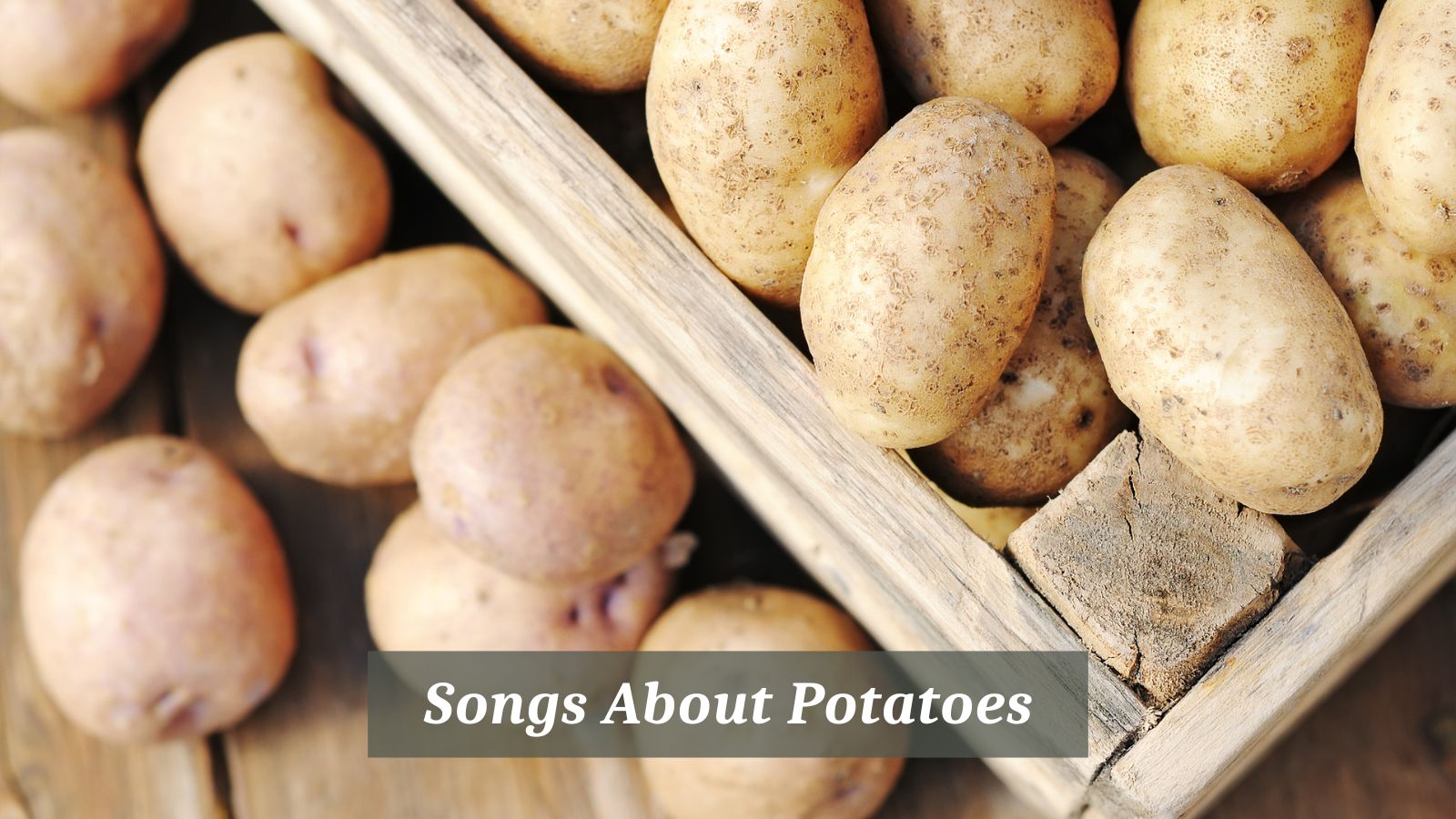 Songs About Potatoes