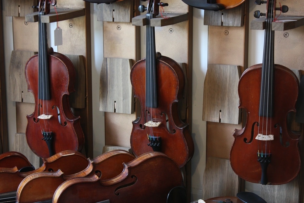 The Evolution of the Violin